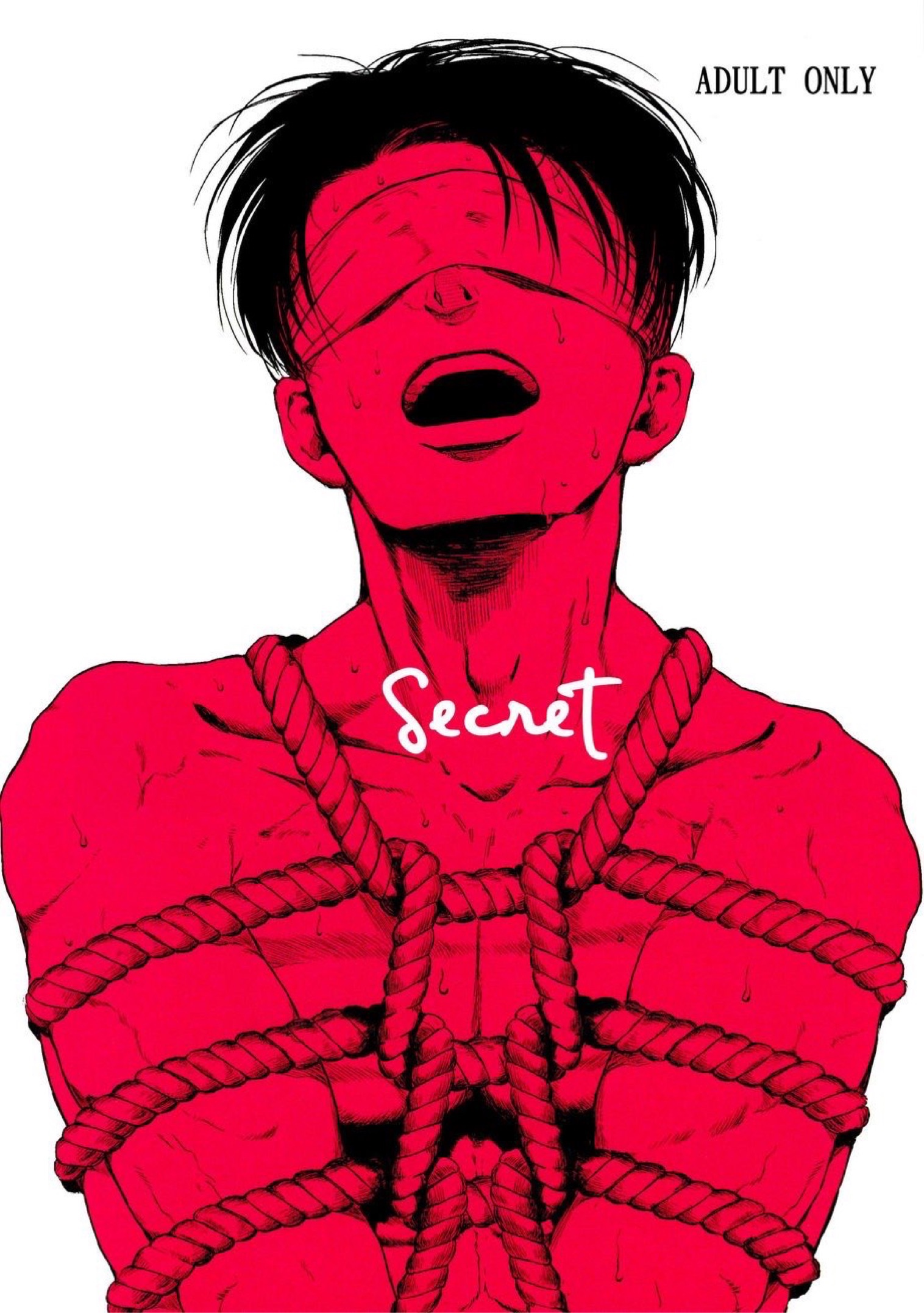 Shingeki no Kyojin dj – Secret 1 (1)